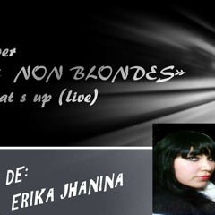 cover "4 NON BLONDES" what s up live