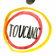 TOUCANS - Lovely things