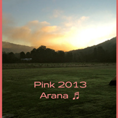 Pink 2013
