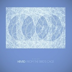hrvrd - the creative