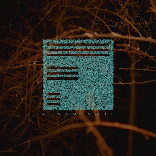 Flaamingos - Expressions