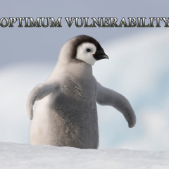 Optimum Vulnerability - SJE Records