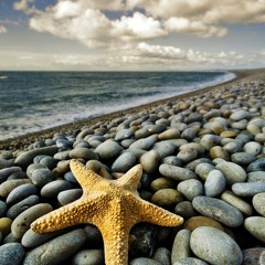 Membuat Janji Dengan Takdir