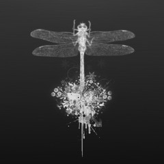 Flight 13 -Original Preview -Sonny Bever -aka Sho3boX -FREE DOWNLOAD!