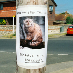 Bedroom Session #? August 2013