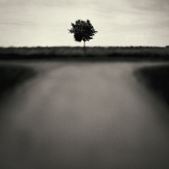 The Crossroad - Piano Solo