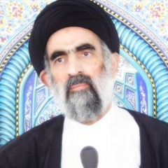 السيد هادي المدرسي : الامام علي عليه السلام بماذا يصف امرته وسلطته ؟
