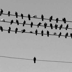 PADRINO - EN LA MISMA FRECUENCIA (Prod. Dome)