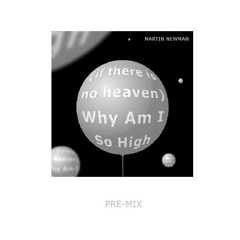 MARTIN NEWMAN : (If there is no heaven) why am I so high