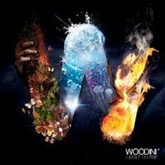 Woodini - Jungle On Fire (Fybe:one Remix)