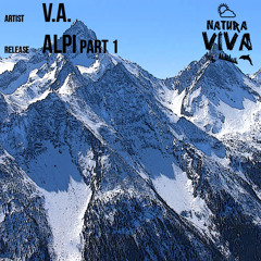 Sack Muller - Warped (Original Mix) [Natura Viva]