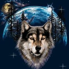 The Taming of the Wolf - Original Mix