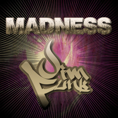 Muse - Madness (Jim Funk Remix)