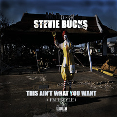 This Aint What You Want ( Freestyle )