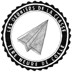 Epervier - Les Écureuils Sont Triste Le Lundi Sous La Pluie Dans Les Allées De Central Park