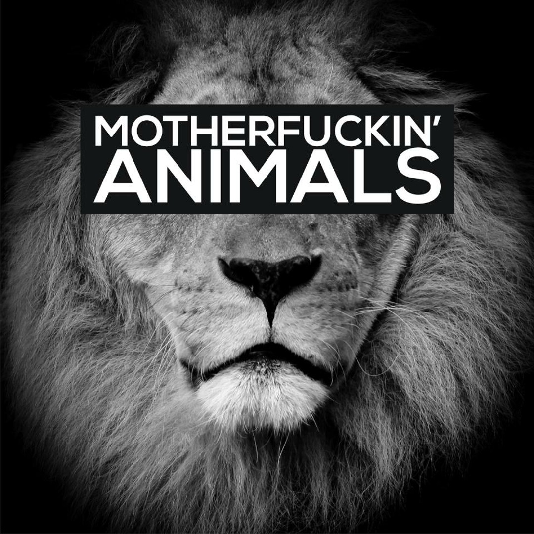 Listen to Martin Garrix - Animals (@@ Remix) by @@ (AT-AT) in dj @@  playlist online for free on SoundCloud, image size:1080x1080