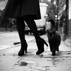 Black Cats -Yeki Bood Yeki Nabood