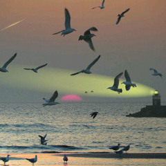 هاذا نصيبي في الحياه -