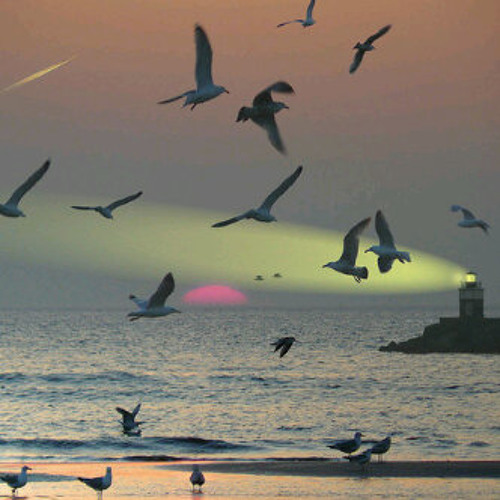 هاذا نصيبي في الحياه -