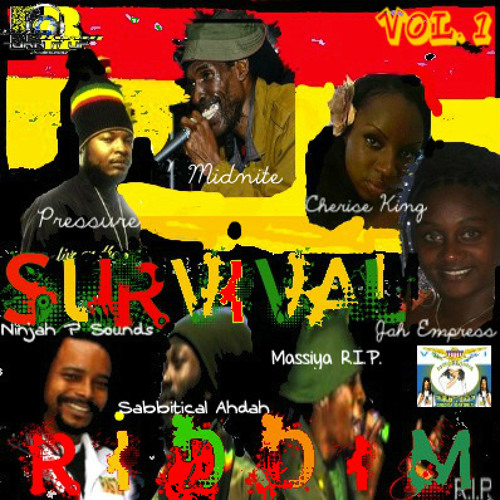 Akea Beka "Karma" Ninjah P Sounds/RoyalTeamRecords