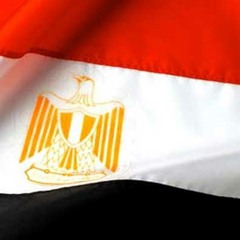 العلامة الألباني - رحمه الله : الذي يقتل في المظاهرات المصرية على يد الدولة ليس بشهيد  !