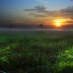 Couple of New Tracks in the Making!