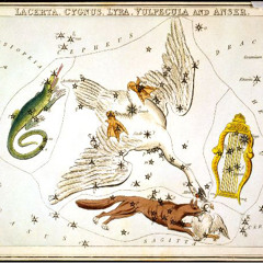 August Constellations