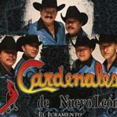 Los Cardenales De Nuevo Leon Mix- Dj Alan