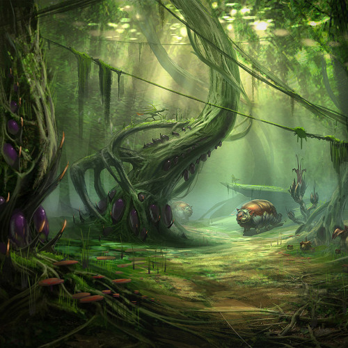 Jungle