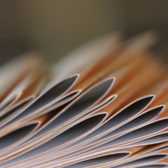 Reprint [16 Bar Promo] *REAL RAP*