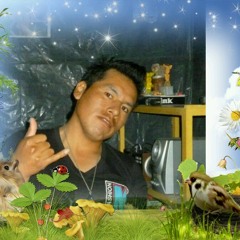 DEJENME VIVIR (PRIMICIA) ...........................´ DAYSI COARI