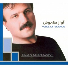 Bijan Mortazavi - Voice Of Silence(Sedaye Khamoush)