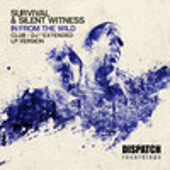 Survival & Silent Witness - Fletcher (nCamargo Remix)