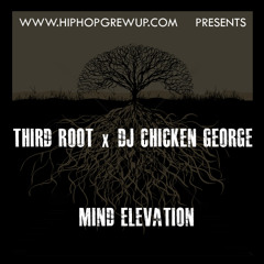 Third Root x DJ Chicken George "Fathers of a New Cool"