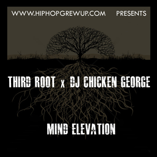 Third Root x DJ Chicken George "Evolve"