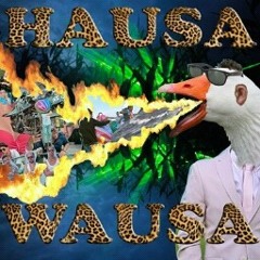 hausa wausa - (castillo Remix)