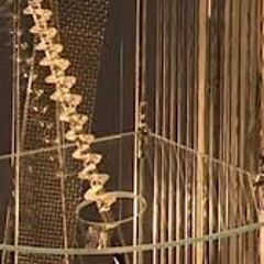 Ein Lichtspiel (schwarz, weiß, grau)