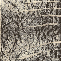 yes to everything. Yes to america