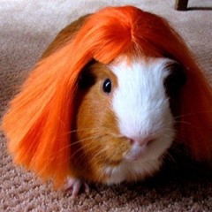 Realistic Hair - Why?