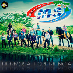 Hermosa Experiencia - Banda Sinaloense MS de Sergio Lizarraga