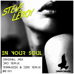 DC001 : Steve Leroy - In Your Soul (TerranceK & Dink)