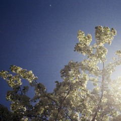 1618 / INDIGO HIGH / FOREVER BEGINS / FREE DOWNLOAD ALBUM