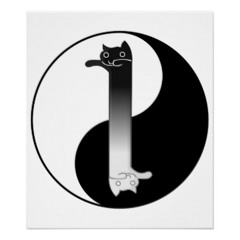LongCatIsLoooooooooooooooooooooooooooooooooooooooooooooong