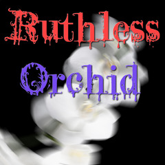 Love Buzz (Nirvana Cover) w/ Full Band Line-Up -- (Rough Practice Demo)