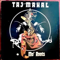 Taj Mahal - Celebratin' Walkin Blues (Eskatos Remix)