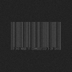 WeMe313.10 NRSB-11  A2 Consumer Programming MP3