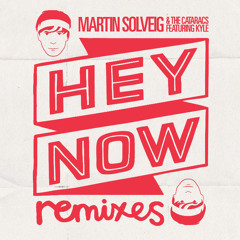 Martin Solveig & the Cataracs - Hey Now (feat Kyle) Acapella