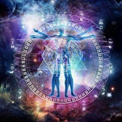 Naisectra - Frequencias del Bosque