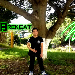 Reggaeton Vs Tribal (DjBrekcat Ft Big Yomo ) 2013