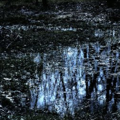 Water (Demo)